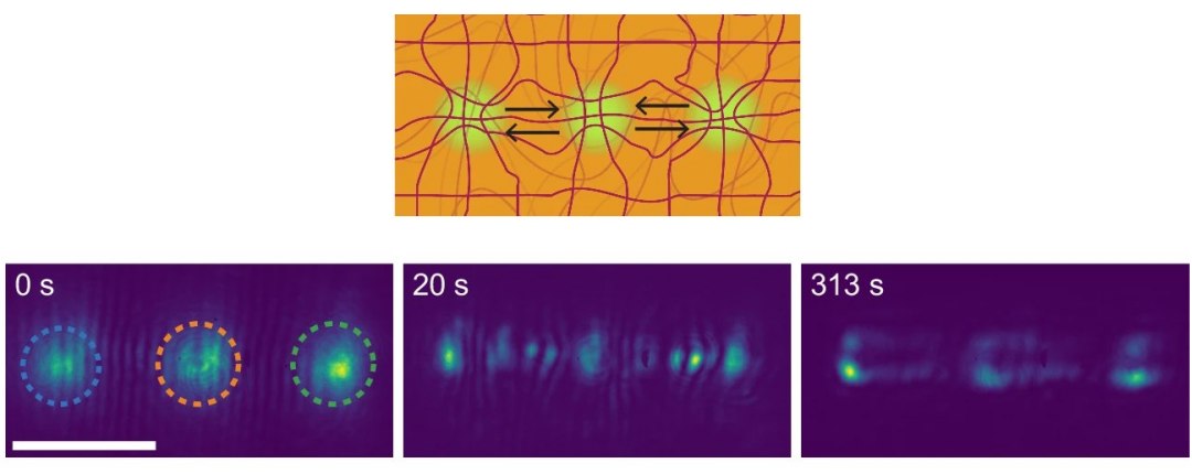 Porta lógica de luz é construída em