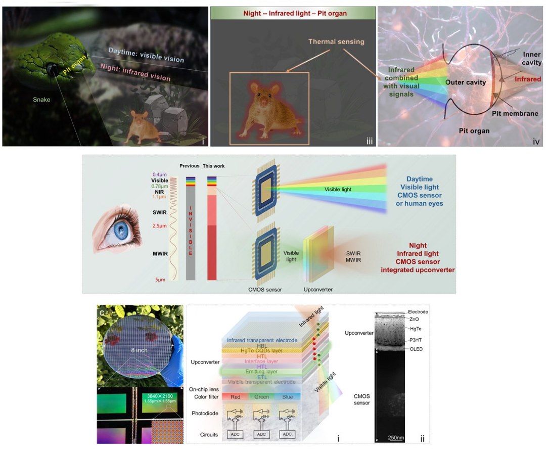 Viso noturna inspirada nas cobras enxerga infravermelho em 4K