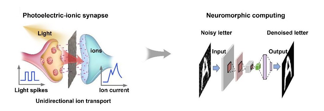 Dispositivo fotoel�trico-i�nico impulsiona computa��o neurom�rfica