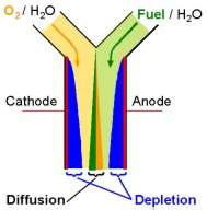 Clula a combustvel alcalina no utiliza membrana
