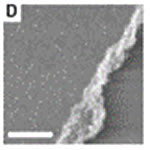 Descoberta nova classe de clulas solares flexveis