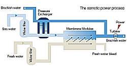 Osmose ser utilizada para gerao de energia limpa