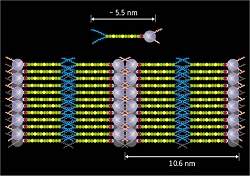 Clula solar orgnica de alta eficincia  criada com cristal lquido