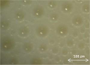 Nanopartculas melhoram eficincia do biodiesel