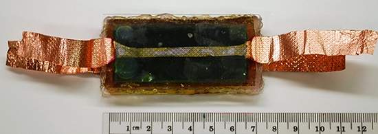 Clula solar biohbrida feita com espinafre
