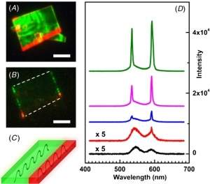 Laser de duas cores pode viabilizar iluminao com LEDs