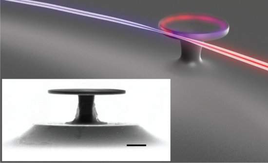 Microestrutura permite fabricar cores