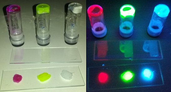 BioLED  feito com protenas luminescentes