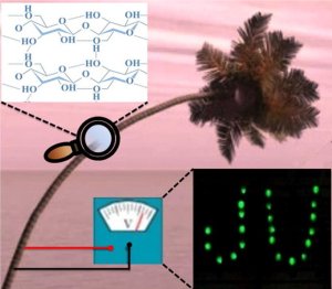 Nanogerador de celulose para implantes biomdicos