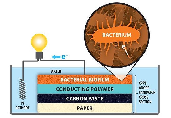 Clula a combustvel microbiana volta aos palcos com um novo papel