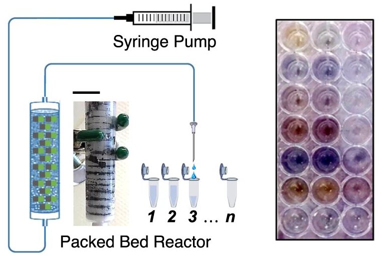 Nanopartculas fornecem eletricidade para reaes qumicas sem fios