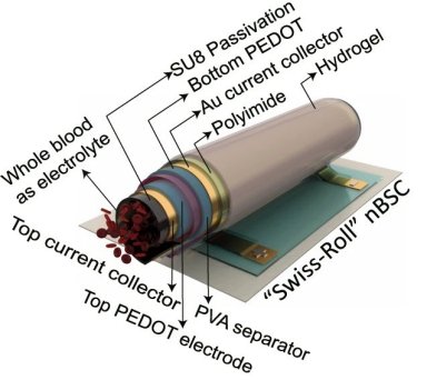 Biossupercapacitor supera baterias para aplicaes biomdicas