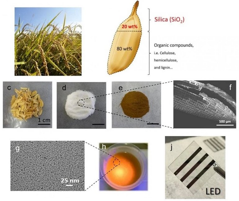 LEDs de pontos quânticos são fabricados com cascas de arroz