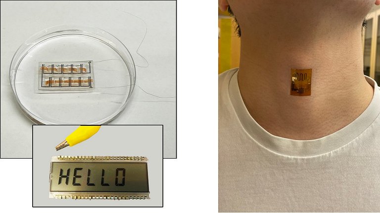 Bateria de bactrias mortas alimenta eletrnicos pessoais