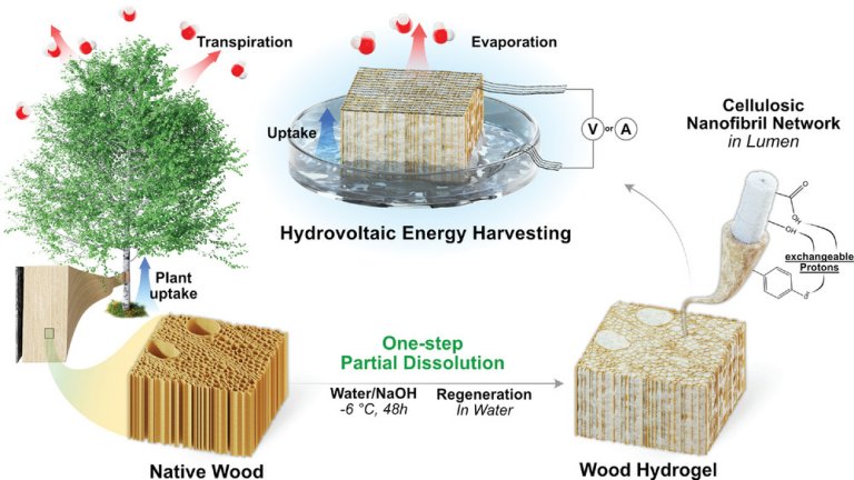 Hidrovoltaica produz electricidade mergulhando madeira na gua