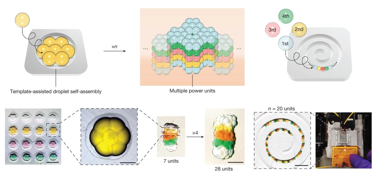 Bateria de gotculas aciona aparelhos biointegrados e at clulas individuais