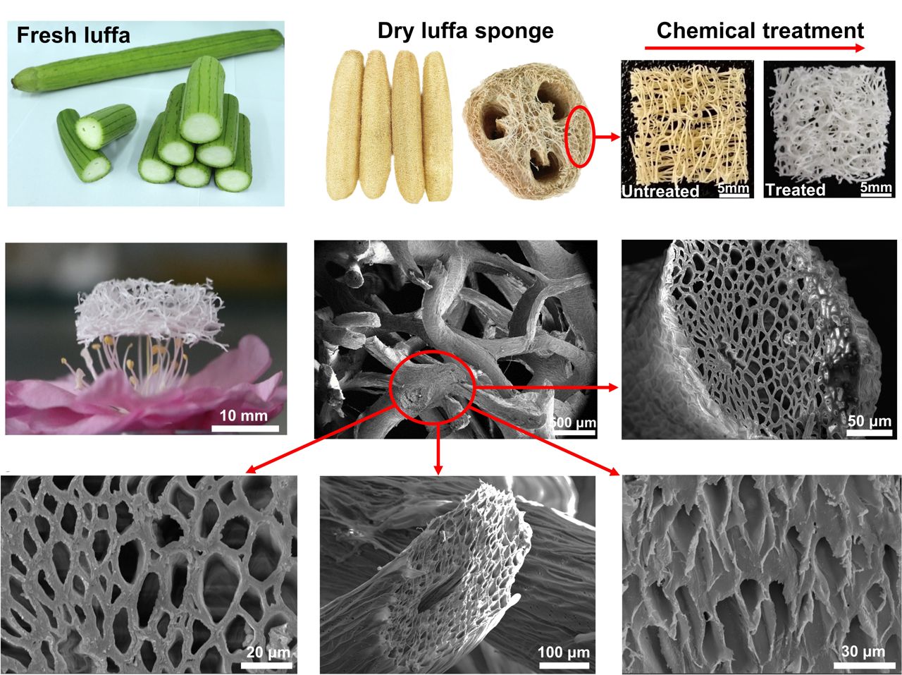 Apertar buchas de banho cria eletricidade suficiente para alimentar LEDs