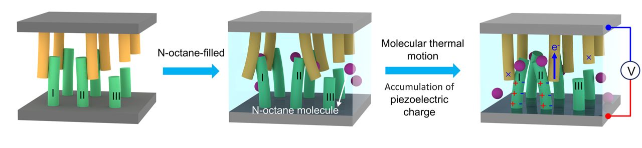 Nanogerador usa movimento molecular para produzir eletricidade