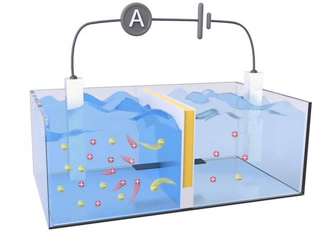 Bateria de sal coleta energia osmtica onde rios encontram o mar