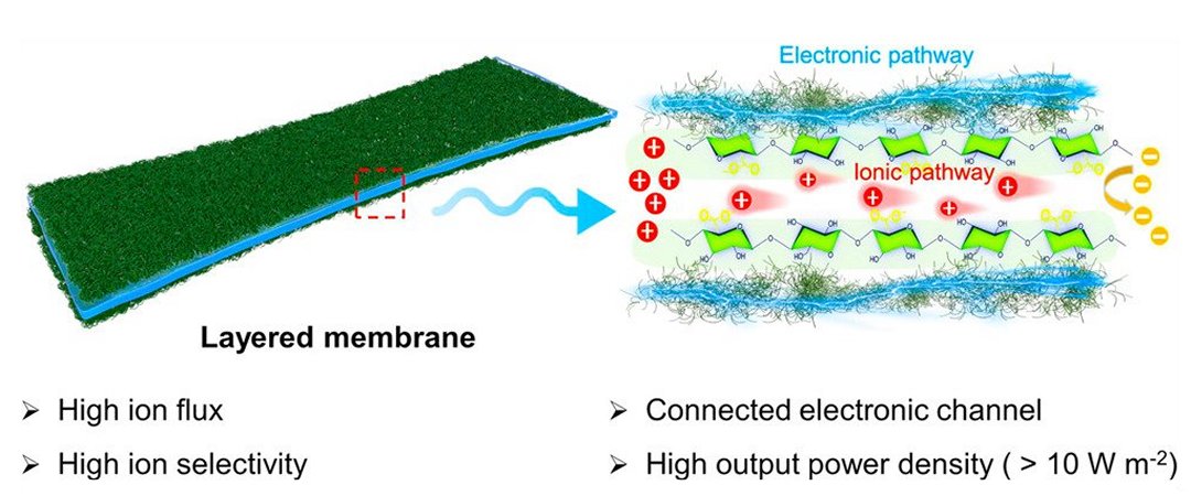 Bateria de sal coleta energia osmótica onde rios encontram o mar