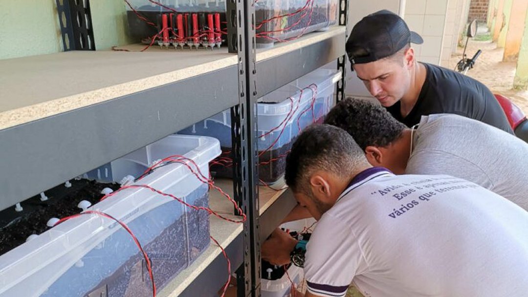 Baterias bacterianas coletam energia do solo, funcionando 