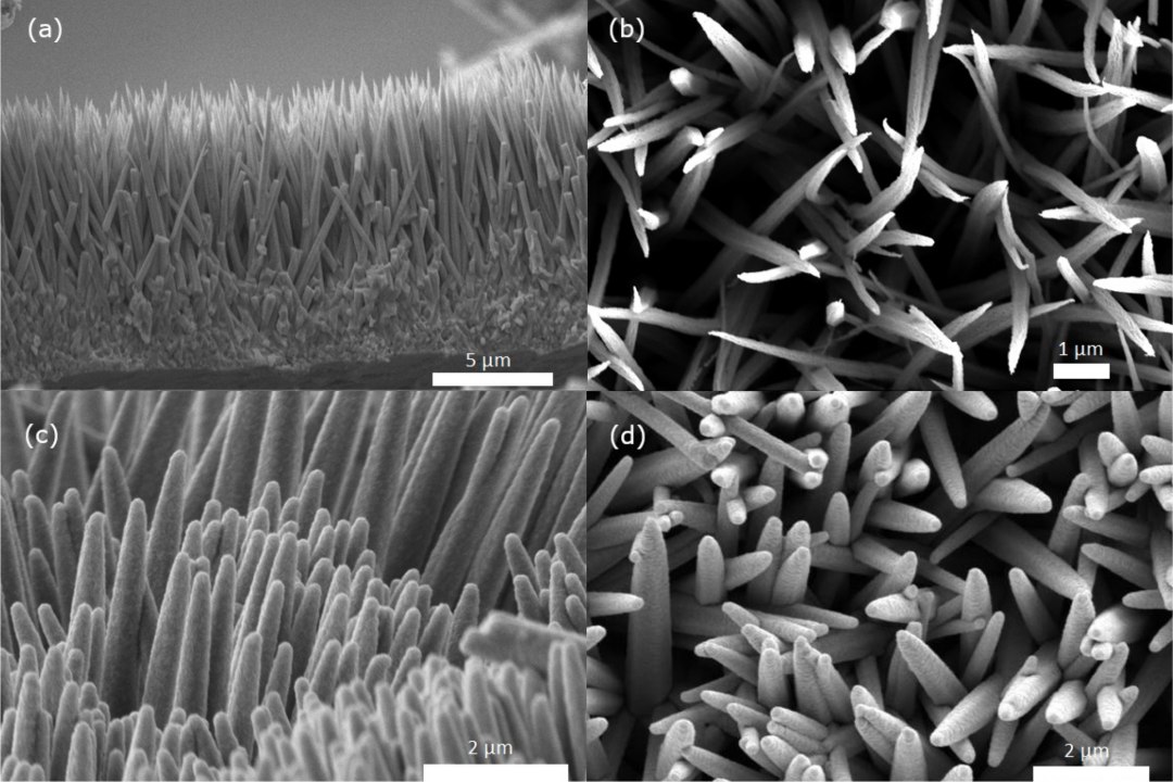 Novo material para usinas termossolares absorve 99,5% da luz solar