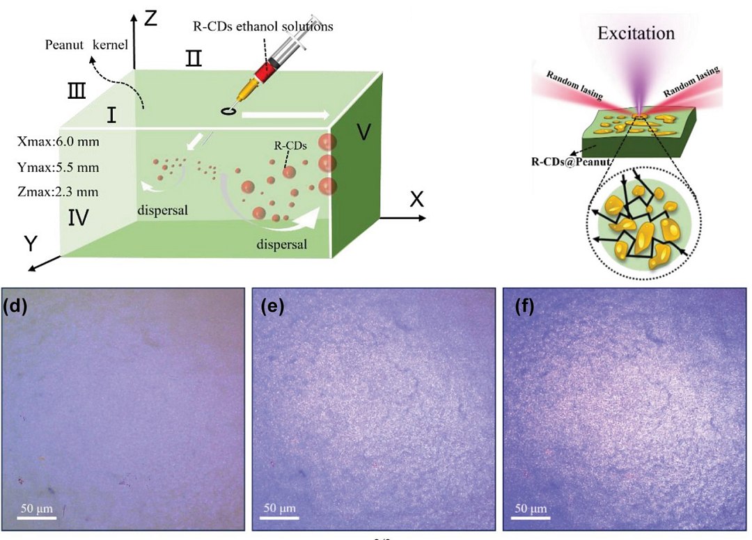 Tecnologia laser avançada é criada com folhas de bétula e amendoim