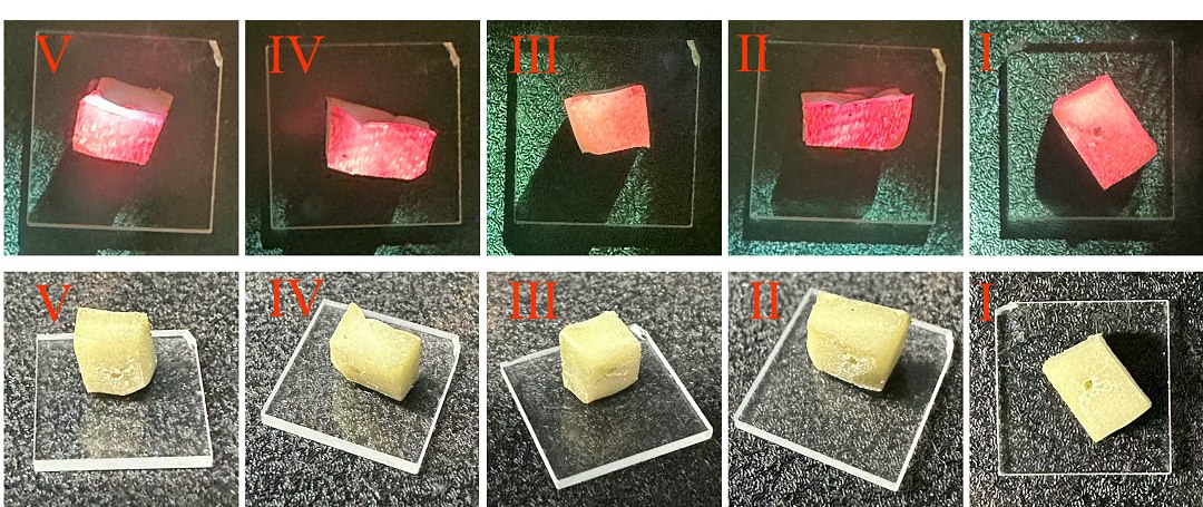 Tecnologia laser avançada é criada com folhas de bétula e amendoim