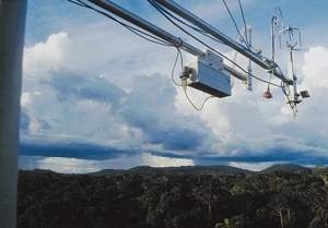 Torre de 320 metros vai monitorar clima na floresta Amaznica