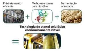 Plasma frio pode viabilizar etanol de segunda geração