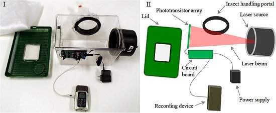 Sensor a laser identifica pernilongos pelo zumbido