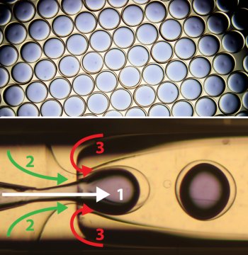 Novo material evita que CO2 seja liberado na atmosfera