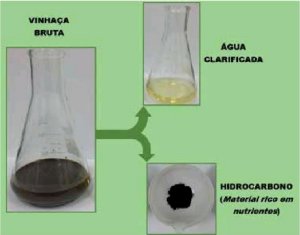 Fertilizante slido  retirado da vinhaa