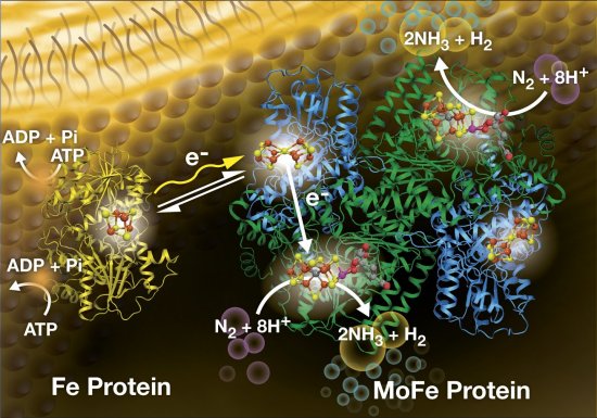 Fertilizantes criados usando luz