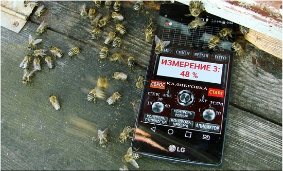Tecnologia acstica monitora abelhas sem abrir a colmeia