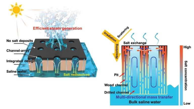 Dessalinizador portátil com evaporador solar de madeira