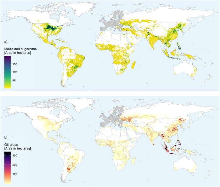 Boas intenes no so suficientes para poltica ambiental eficaz