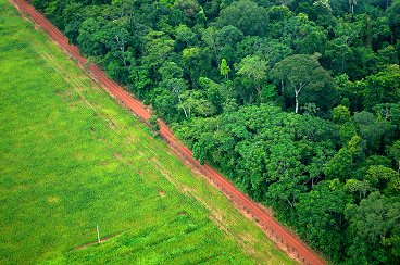 Boas intenções não são suficientes para política ambiental eficaz