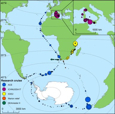 Captação de carbono dos oceanos está amplamente subestimada, dizem climatologistas