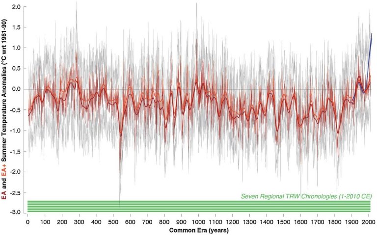 O testemunho das árvores: Vulcões influenciaram temperatura nos últimos 2000 anos