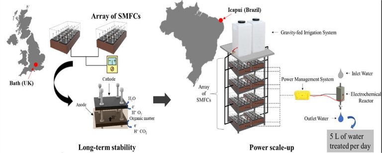 Célula a combustível usa germes do solo para gerar energia no Nordeste