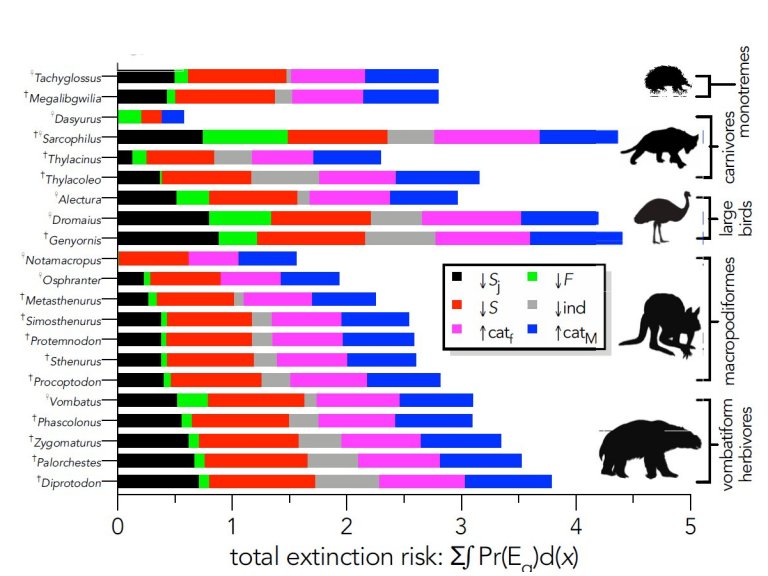 Extinção de grandes animais não é tão simples como se pensava