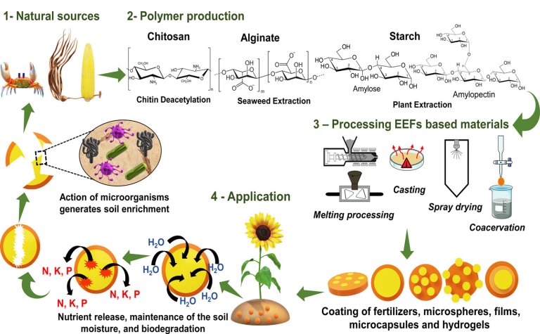 Fertilizante recoberto com biomaterial dura mais e polui menos