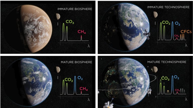 Pode um planeta pode ter consciência?