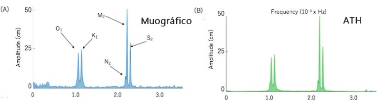 Sensor de múons rastreia tsunami em tempo real com precisão inédita