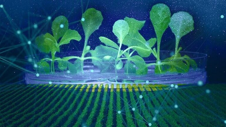 Fotossíntese artificial pode produz alimentos no escuro