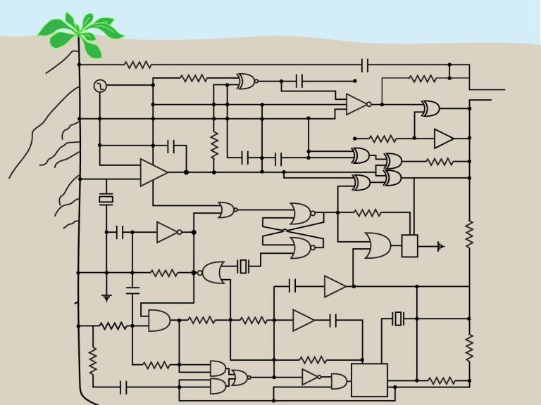 engenharia de plantas biologia sinttica circuitos genticos