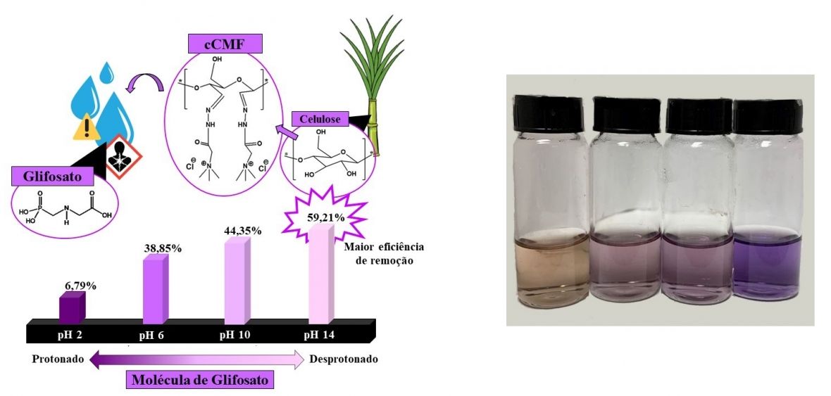 Filtro de bagao de cana consegue eliminar agrotxico de gua contaminada por glifosato