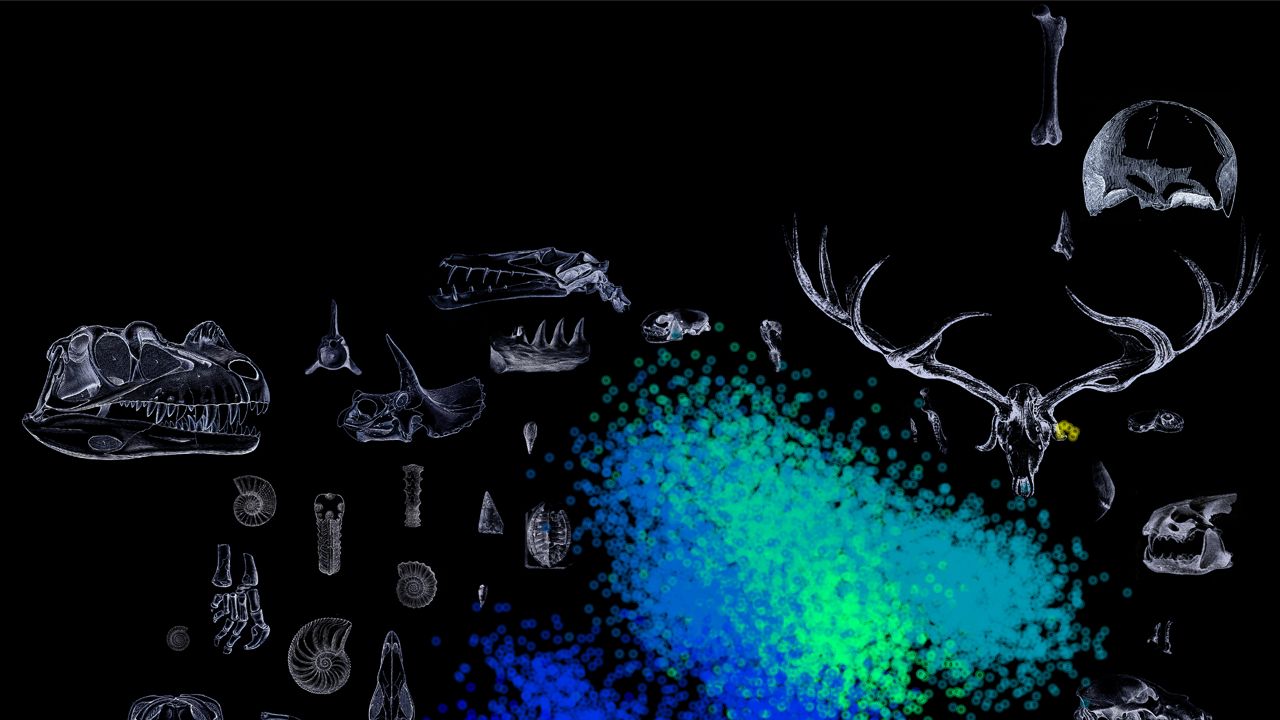 Teoria da Evolução pode ser caso especial de uma Teoria Universal da Evolução