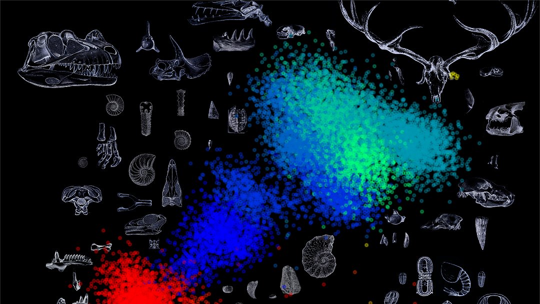 A evoluo no  to aleatria como cientistas pensavam